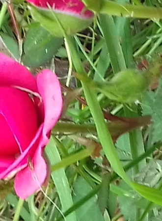 20180531_143404
